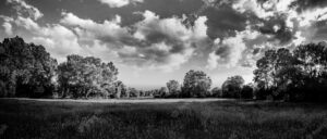 rural-landscape-in-black-and-white-dramatic-sky-and-forest-field-artistic-nature-scenic_663265-726